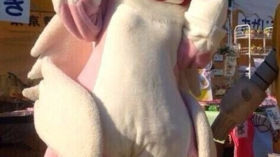 암컷임이 분명해