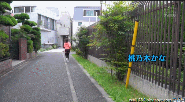 16600260029735.gif