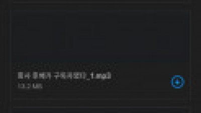 펨돔 asmr