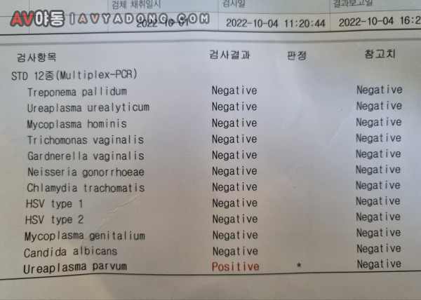 16651138858708.jpg