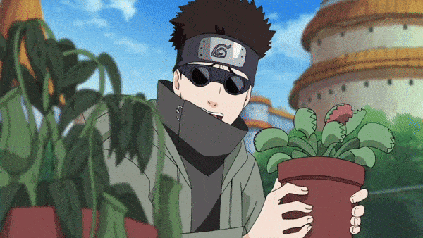 16675379727798.gif
