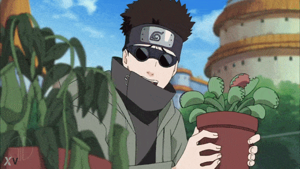 16675379736684.gif
