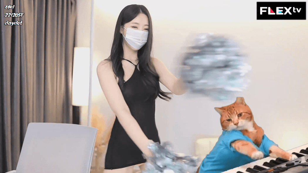 16704914879567.gif