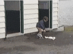 16709165061628.gif
