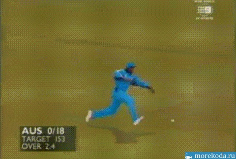 16709165062458.gif