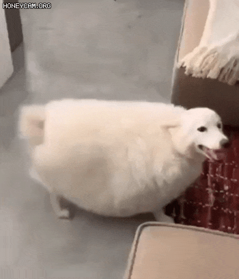 16736676694945.gif