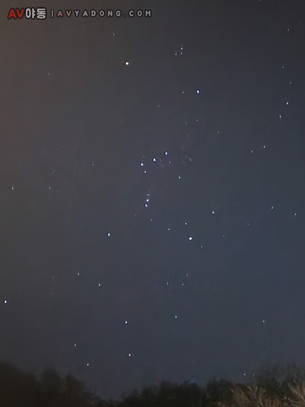 16748904640526.jpg