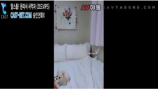 BJ두리